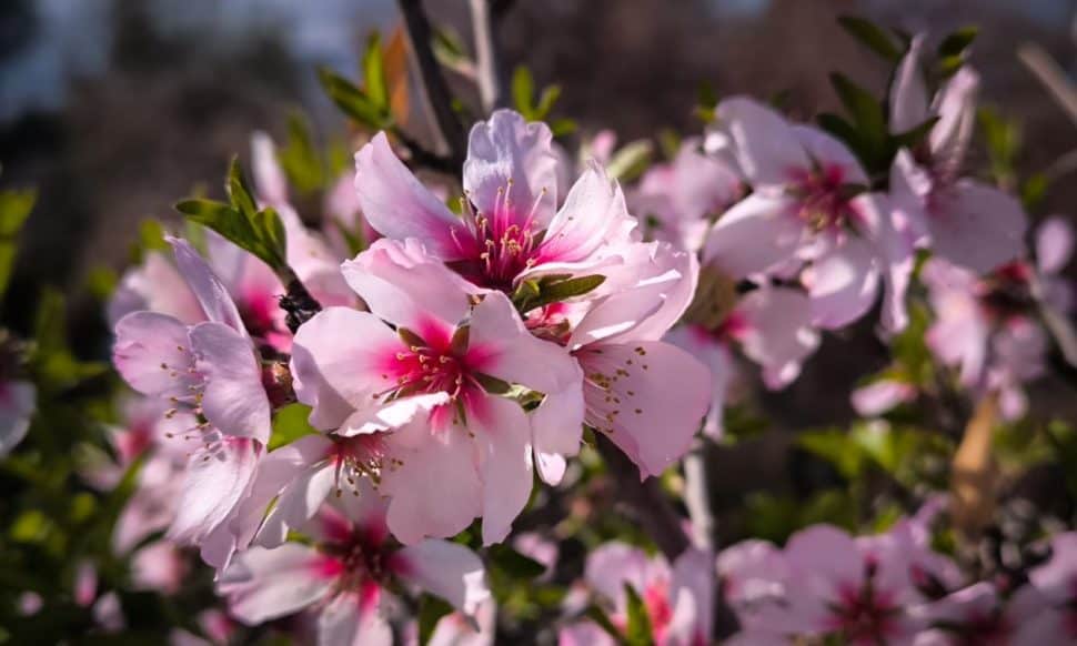 Το καθημερινό σας ωροσκόπιο για Πέμπτη, 19 Μαρτίου: Η έντονη ενέργεια του Κριού σας δοκιμάζει