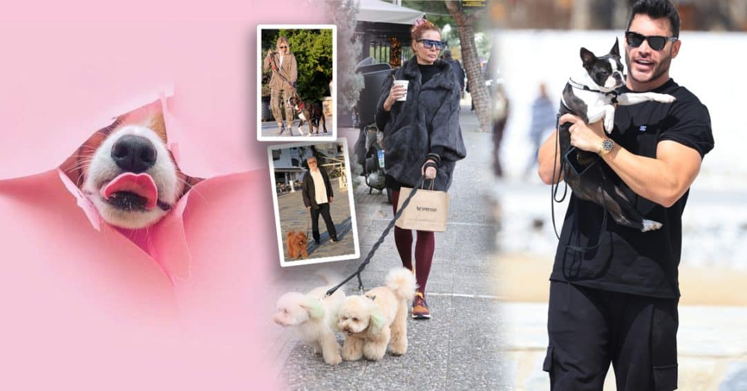 Χαριτωμένα, διάσημα και viral: τα pets των stars